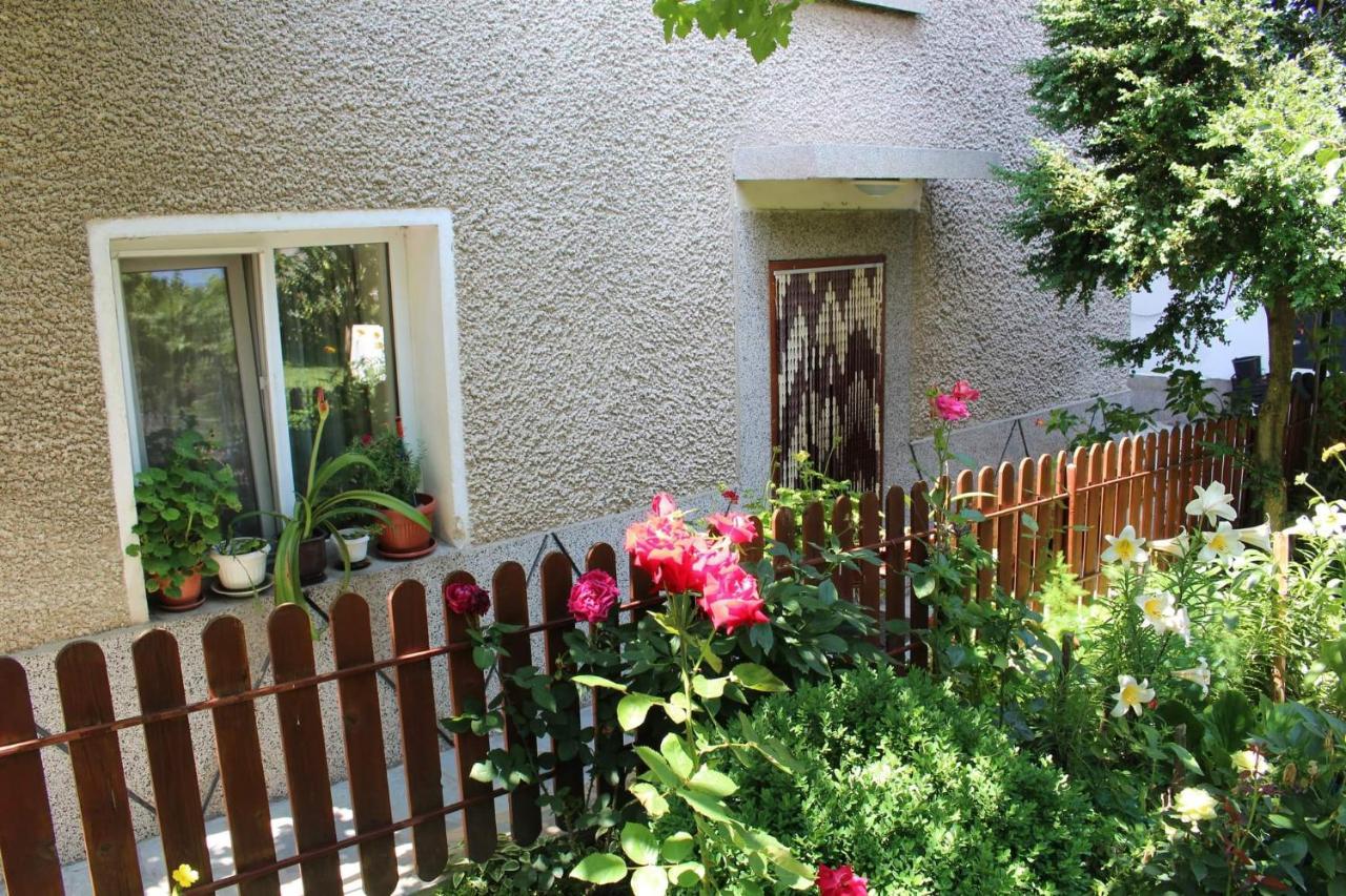 Apartment Raya Sapareva Banya Exterior foto